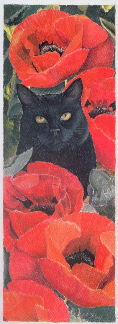Zwarte Kat met Klaprozen door Anne Robinson