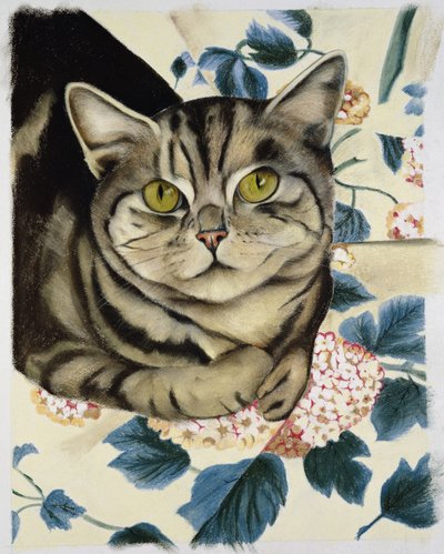 Cyperse kat door Anne Robinson
