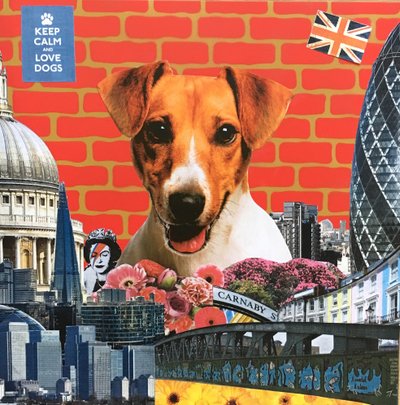 Jack Russel, 2015 door Anne Storno