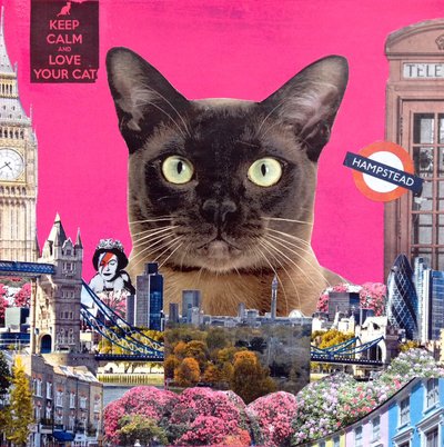 Stedelijke Kat, 2015 door Anne Storno
