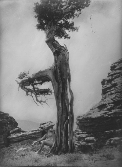 Zonder Titel (Naakt aan de voet van een ceder) door Anne W. Brigman