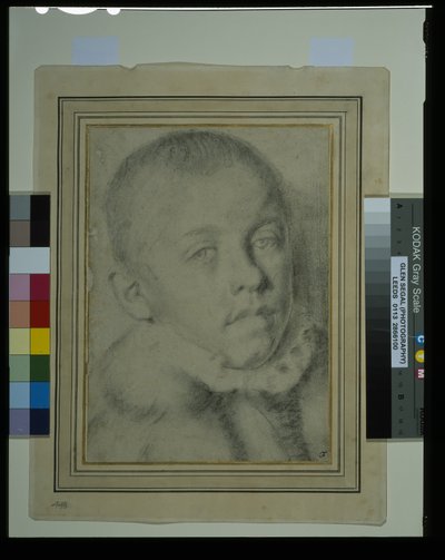 Portret-hoofd van een jonge jongen (zwarte krijt & houtskool op papier) door Annibale (follower of) Carracci