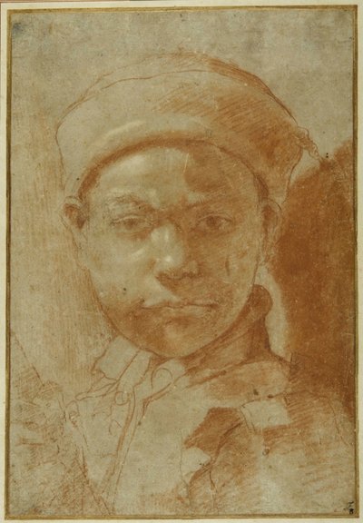 Portret van een jongeling, buste-lengte, met een ronde pet door Annibale Carracci