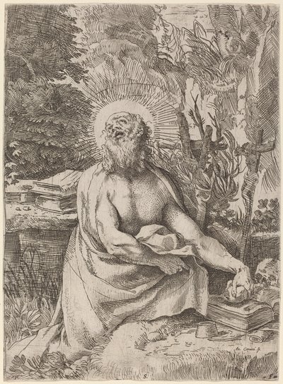 Sint-Hieronymus in de wildernis door Annibale Carracci