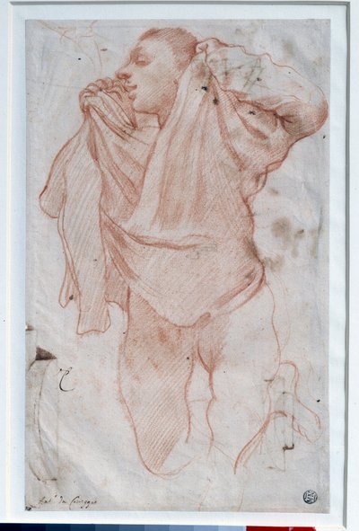 Jonge jongen die zijn shirt uittrekt door Annibale Carracci