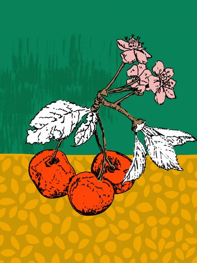 Kersenbloesems door Annick