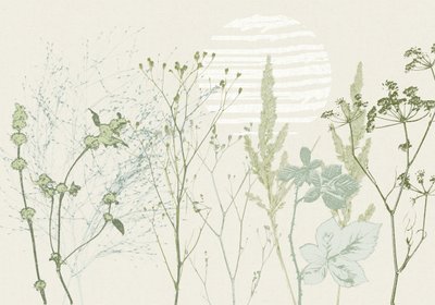 Ingetogen botanische zonsopgang door Annick