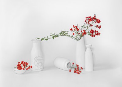Minimalistische presentatie van rode bessen door Annie Poreider