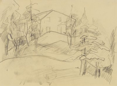 Huis in het bos door Anny Dollschein