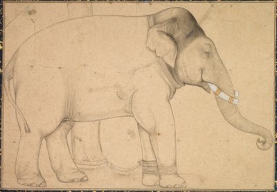 Tekening van een olifant door Anonym