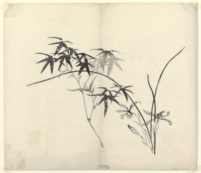 Bamboe en Orchideeën door Anonymous