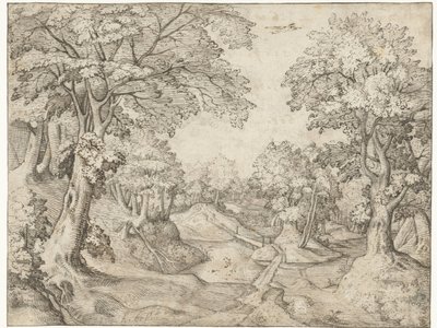 Boslandschap met een beek door Anonymous