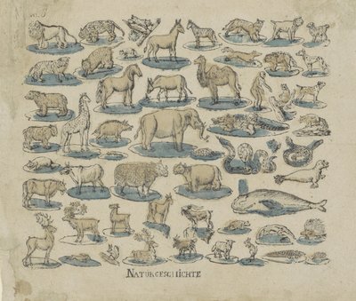 Dieren Naturgeschichte door Anonymous