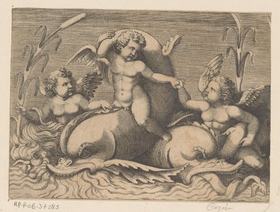 Drie putti met dolfijnen door Anonymous