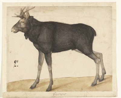 Eland door Anonymous
