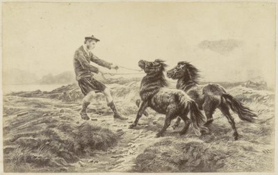 Schotse man met twee pony