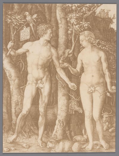 Adam en Eva door Albrecht Dürer door Anonymous
