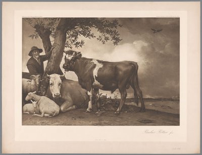 De stier door Paulus Potter door Anonymous