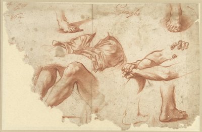 Fragment van studieblad met armen, benen, voeten door Anonymous