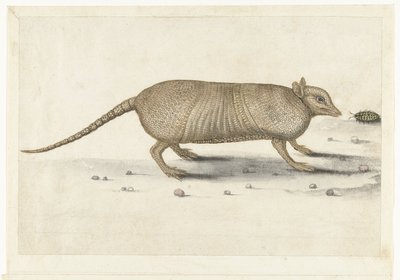 Gordeldier (Lombard album) door Anonymous