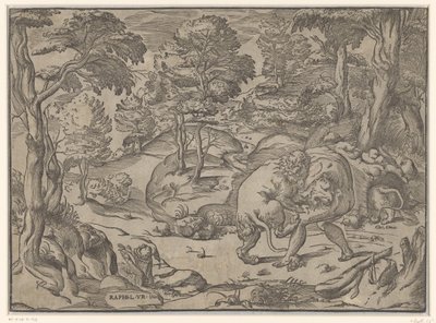 Hercules en de Nemeïsche leeuw door Anonymous
