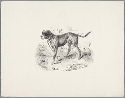 Hond aan een ketting (Zes kleine dierenstudies) door Anonymous