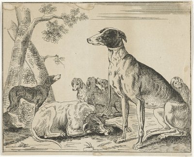 Hondenkennel door Anonymous