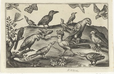 Hop en andere vogels door Anonymous