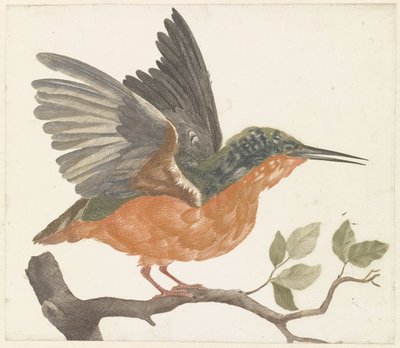 IJsvogel op boomtak door Anonymous
