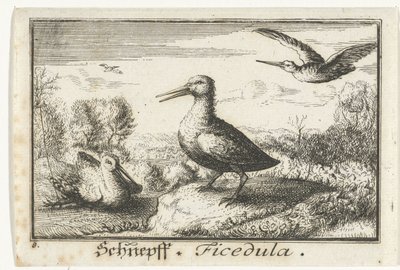 Landschap met drie snippen door Anonymous