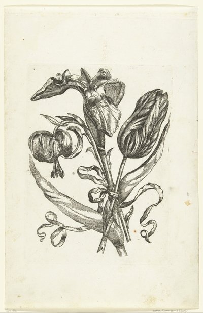 Lelie, iris en tulp door Anonymous