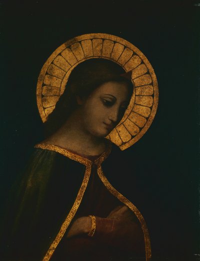 Madonna door Anonymous