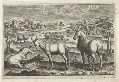 Paard en ezels door Anonymous