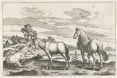Paard en ezels door Anonymous