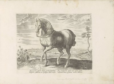 Paard uit Gelre door Anonymous
