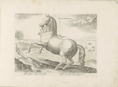 Paard uit Spanje door Anonymous