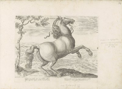 Paard uit Toscane door Anonymous
