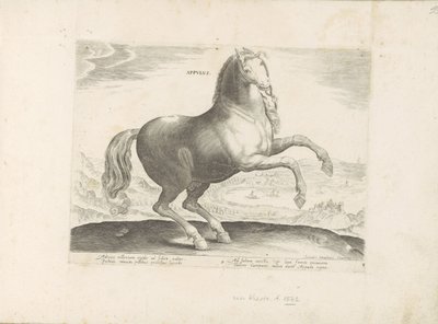 Paard uit Zuid-Italië door Anonymous