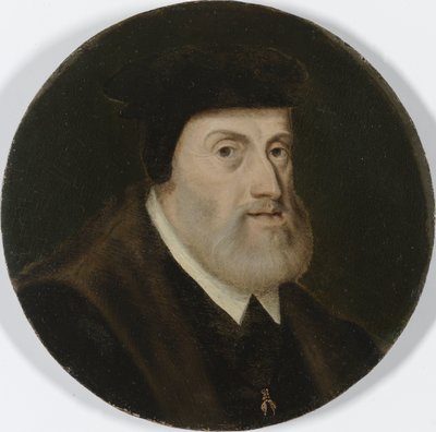 Portret van Karel V, Heilige Roomse Keizer door Anonymous