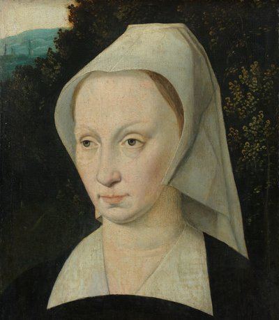 Portret van een vrouw door Anonymous