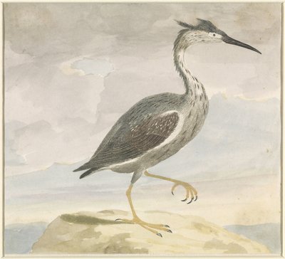 Reiger door Anonymous