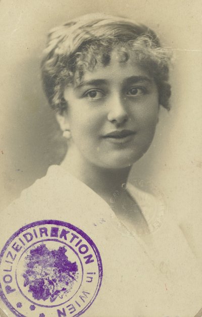 Rijbewijs van Elsa Silberstein door Anonymous