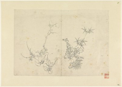Schetsblad met wilde roos en een chrysant door Anonymous