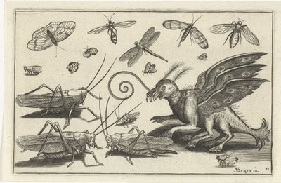 Sprinkhanen en fantasiewezen met vleugels en zwemvliezen Vogels en insecten (series title) door Anonymous
