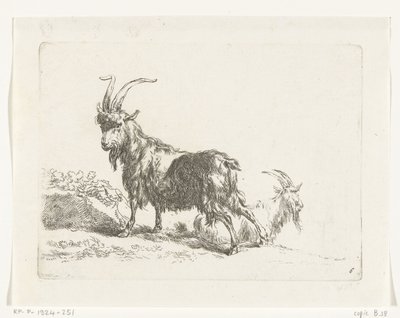 Staande en liggende geit of bok (Geiten en schapen naar N.P. Berchem) door Anonymous