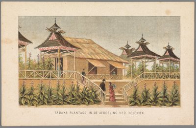 Tabaksplantage van de Nederlandse koloniën op de Wereldtentoonstelling in Amsterdam, 1883 door Anonymous