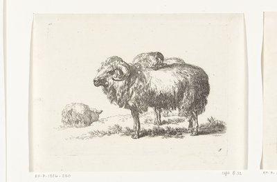 Twee bokken en een liggend schaap door Anonymous