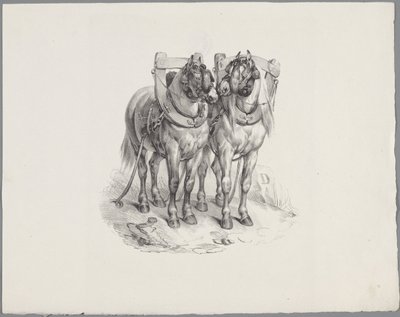 Twee opgetuigde paarden door Anonymous