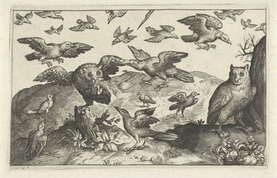 Uil met prooi belaagd door andere vogels door Anonymous