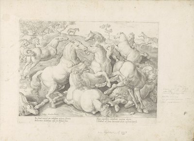 Vechtende paarden door Anonymous